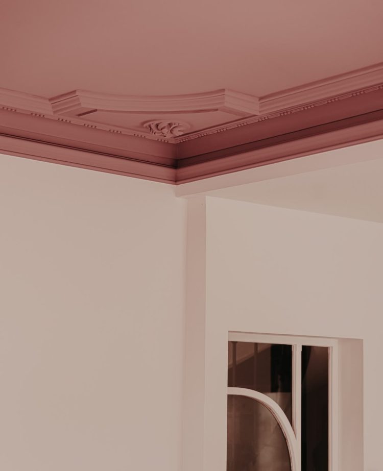 moulures-plafond-rose-decoration